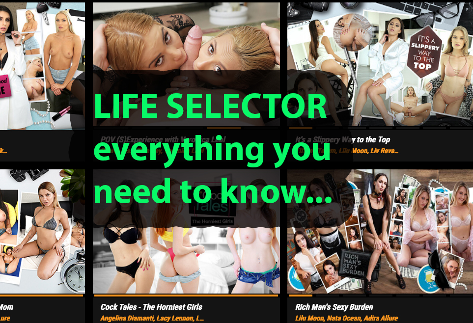 Life Selector Review