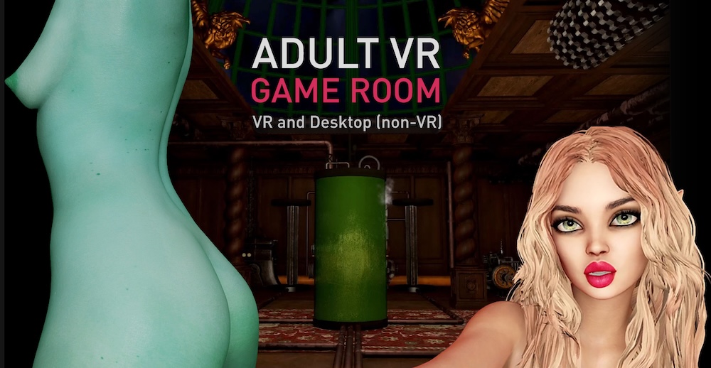 adult VR game room