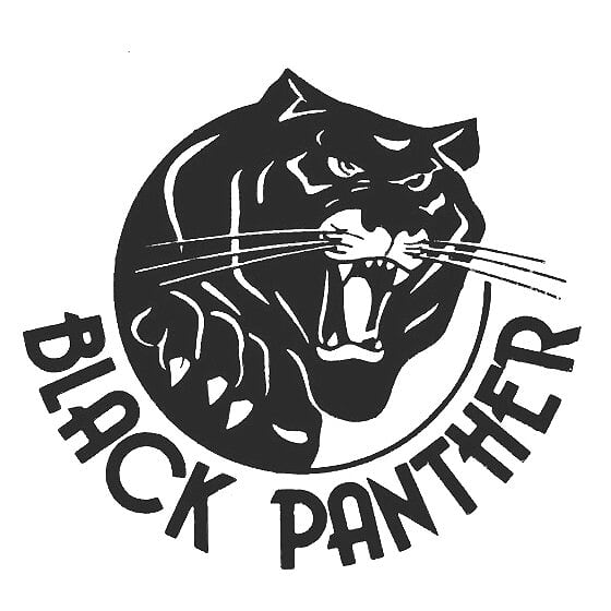 blackpanther22